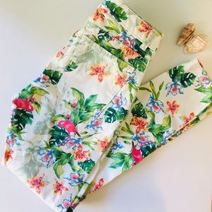 American Apparel tropical paradise jeans